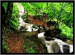 Las, Góra, Rzeka, Most
