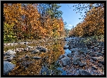 Rzeka, Las, Kamienie
