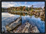 Rzeka, Las, Kamienie