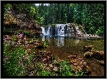 Rzeka, Wodospad Lower Lewis River Falls, Skały, Las, Drzewa, Osada Cougar, Stan Waszyngton, Stany Zjednoczone