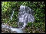 Las, Rzeka, Wodospad, Silbidan Falls, Roślinność, Omszałe, Kamienie, Park Narodowy Jirisan, Korea Południowa