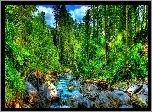 Las, Rzeka, Skały, HDR