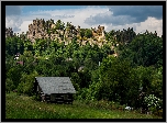 Gmina Mala Skala, Czechy, Skały, Dom, Ruiny, Zamek Vranov, Las