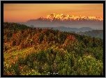Las, Góry, Tatry, Wschód słońca, Polska