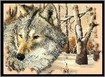 Wilk, Las, Zima