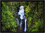 Wodospad, Little Fawn Waterfall, Las, Zarośla, Skały, Park Narodowy Loch Lomond i Trossachs, Szkocja