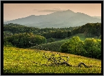 Wzgórza, Las, Niebo