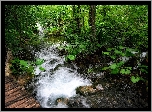 Las, Rzeka, Zieleń, Kładka