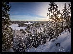 Zima, Park Aulanko, Jezioro Aulangonjarvi, Hameenlinna, Finlandia, Drzewa, Lasy