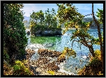 Stany Zjednoczone, Stan Waszyngton, Cieśnina Juan de Fuca, Park Salt Creek Recreation Area, Jezioro, Wysepka, Drzewa, Lasy