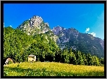 Góry, Lasy, Domy