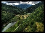 Lasy, Góry