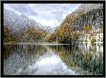 Lasy, Kolorowe, Drzewa, Jezioro, Góry