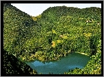 Jezioro, Lasy, Góry