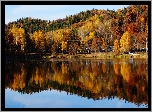 Jezioro, Lasy, Odbicie