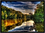 Rzeka, Lasy, Odbicie