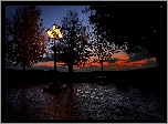Park, Latarnia, Drzewa