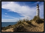 Latarnia, Morska, Wybrzeże, Trawa