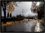 Park, Latarnie, Mostek, Wschód słońca, Drzewa, Jesień