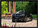 Lato, Park, Czarne, Ferrari 458, Sport