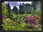 Lato, Park, Burchart, Gardens, Victoria