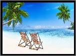 Lato, Plaża, Morze, Palmy, Leżaki, Wakacje