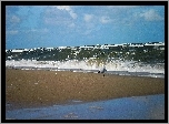 Lato, Morze, Plaża, Mewa, Fale