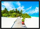 Lato, Morze, Wyspa, Malediwy, Plaza, Pomost, Palmy, Roślinność, Niebo, Obłoki