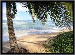 Lato, Plaża, Piasek, Palma, Morze