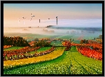 Lato, Chmury, Pole, Wiatraki, Wschód Słońca