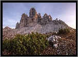 Góry, Dolomity, Szczyty, Tre Cime di Lavaredo, Skały, Iglaki, Roślinność, Włochy