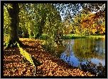 Jesień, Park, Staw, Ławka