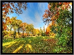 Park, Drzewa, Alejki, Ławki, Liście, Jesień