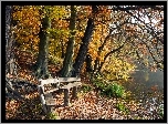 Jesień, ławki, Park