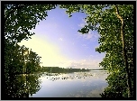 Leśne, Jezioro, Korony, Drzew