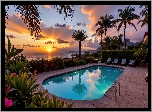 Basen, Ogród, Palmy, Kwiaty, Zachód słońca, Morze, Leżaki