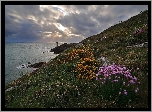 Francja, Gmina Conquet, Morze, Wzgórze, Skały, Latarnia morska, Kermorvan lighthouse, Wybrzeże, Kwiaty