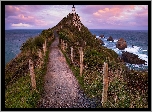 Morze, Skały, Latarnia morska, Nugget Point Lighthouse, Ścieżka, Otago, Nowa Zelandia