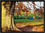 Jesień, Park, Opadłe, Liście, Ławeczka, Przebijające, Światło