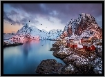 Norwegia, Lofoty, Góry, Wioska Reine, Domy, Ptaki