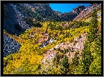 Góry, Drzewa, Lasy, Jesień, Rzeka, Wąwóz, Lundy Canyon, Kalifornia, Stany Zjednoczone