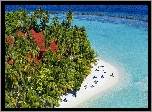 Hotel Kurumba Maldives, Wyspa Vihamanaafushi, Malediwy, Tropiki, Morze, Plaża, Palmy, Wakacje
