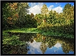 Las, Małe, Jezioro