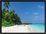 Malediwy, Fihalhohi, Palmy, Plaża, Niebo
