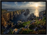 Zachód słońca, Morze, Skały, Kwiaty, Trawy, Hrabstwo Donegal, Przylądek Malin Head, Irlandia