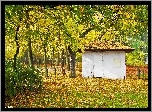Mały, Biały, Domek, Park, Jesień