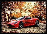 Aston Martin, DBC, Czerwony, Drzewa, Droga, Jesień