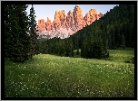 Góry, Dolomity, Masyw Odle, Dolina Val Gardena, Lasy, Drzewa, Polana, Włochy