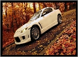 Mazda, RX-8, Jesień, Las, Droga