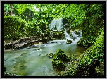 Anglia, Hrabstwo North Yorkshire, Wodospad Janets Foss, Las, Mech